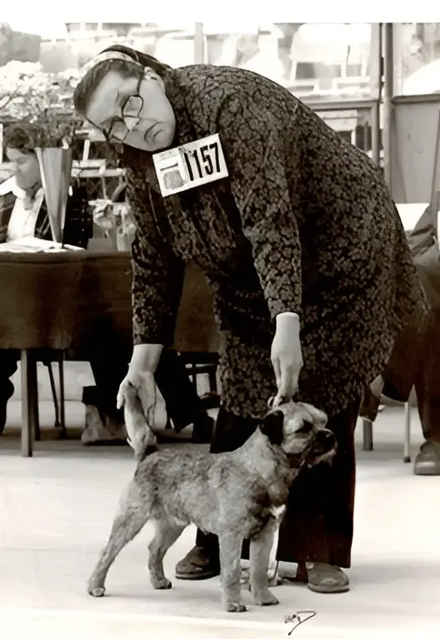 Julia Geijer